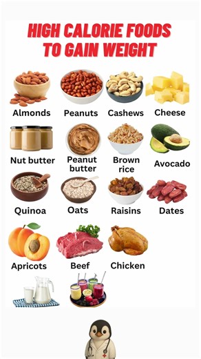 Best High Calorie Foods to Gain Weight Fast Healthy Bulking Guide
