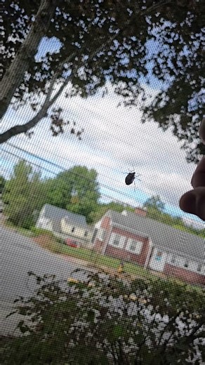 #fyp #foryoupage #slowmo #bug #first #firstvideo #viralvideo | slow mo video girls