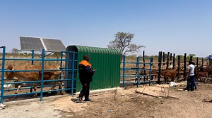 Smart farming isn’t just about crops it’s about protecting livestock too... At kalos meats butcheries. abbatoir and farms, our new spray race installation means healthier animals, safer production and stronger yields. Every innovation is a step closer to the future of farming in Zimbabwe. #cattlelife #agriculture #agriculturelife #Agribusiness #SmartFarming #cattle #farminglife #Agripreneurship #cattlefarming #chamunorwakapita | Chamunorwa Kapita