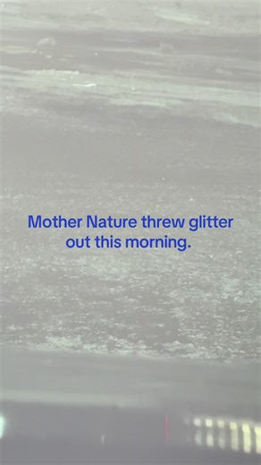 So cold this morning it looks like glitter! #belowzero #glitter#sparkling