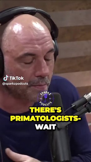 sparkzpodcuts on TikTok