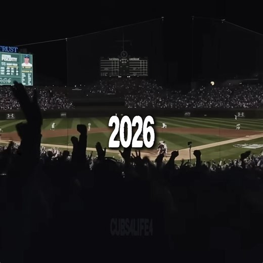 Chicago Cubs Starting Lineup Analysis