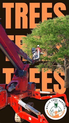 ⭐⭐⭐⭐⭐ "Professional company and employees. The trees service were completed on schedule and the crew did a complete cleanup after the service was complete." Daryl | Walls Tree Service