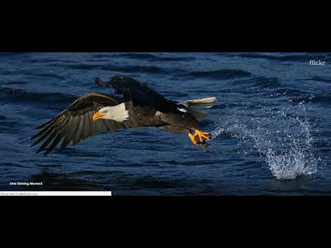 Download Autodesk HSMWorks Ultimate 2018.2.1 (R3) Build R3.42644 x64 Full