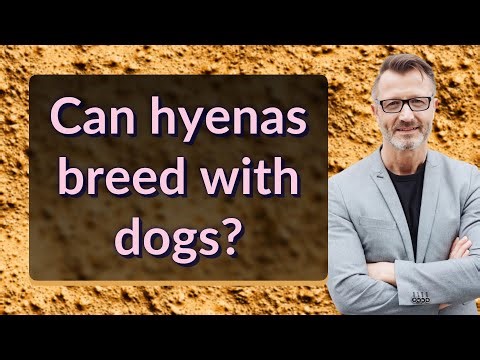 Can hyenas breed with dogs?