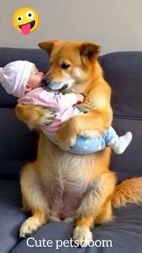 Cute Pets That Will Melt Your Heart 🐶🐱❤️ #Pets #Dogs #Cats #PetLove