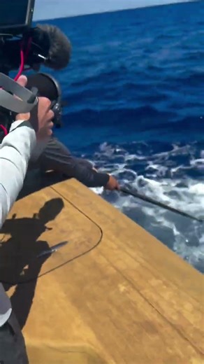 Blue Marlin for BIG points on day one in Walker's Cay