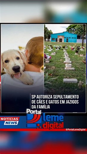 Portal Leme Digital | Notícias do Brasil e do Mundo on Instagram: "O estado de São Paulo passou a autorizar o sepultamento de cães e gatos em jazigos pertencentes aos seus tutores ou familiares. Conhecido como Projeto Bob Coveiro, o texto foi inspirado no caso de um cão enterrado junto à tutora em Taboão da Serra e reconhece o vínculo afetivo entre humanos e animais de estimação. De autoria do deputado estadual Eduardo Nóbrega (Podemos), a lei determina que o sepultamento respeite normas sanitár