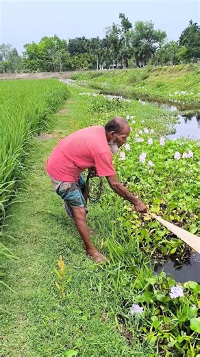 67 Years Old Fisherman Catch Fish | Fisher Village