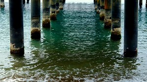 Daniel Caesar Videos: Download 12+ Free 4K & HD Stock Footage Clips - Pixabay