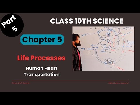 Class 10 Science Chapter 5 | Life Processes Part 5 | Transportation in Humans & Plants, Heart, Lymph