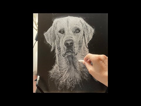 一隻粉筆畫黑板!chalkboard art