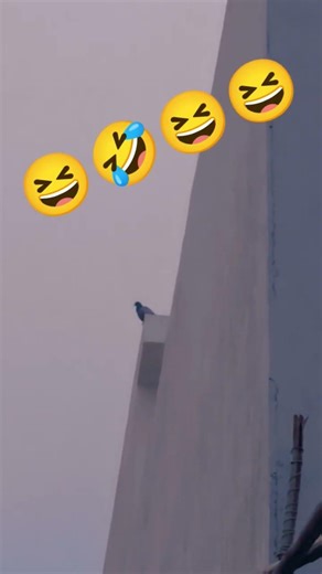 #De De pyar De pyar De De pyar De🫶🏻🫰🏻🫶🏻🤣😆😆🤣😆😆♥️♥️😆😆🤣😆😆♥️😆🤣😆