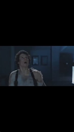 WHALE'S CAT HOME - Help find our 24 rescued cats a home. | BAILANDO IN POP CULTURE James Cameron, the director of Aliens, was such a big fan of the choreography that behind the scenes during the... | Instagram