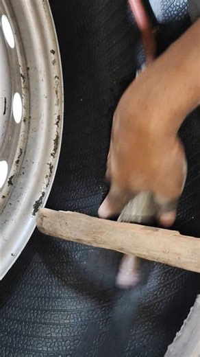 "Tubeless tyre inside repairing" #viralshort #tyer #tubelesstyres #repairing