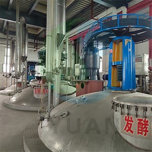[Hot Item] Automatic Professinally Designed High Performance Economical High Productivity Citric Acid Production Plant