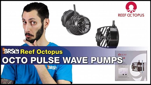 1.8K views · 15 reactions | Don't let the price fool you because the Reef Octopus Octo Pulse Wave Pumps are jam-packed with high-end features and flexible control options! Shop Octo Pulse Pumps ➡️ https://brs.li/37cNt6y . Watch on YouTube ➡️ https://brs.li/2T8D0B3 . Join #AskBRStv Facebook Group ➡️ https://brs.li/JoinAskBRStv . BRS Sponsor Forum at Reef2Reef ➡️ https://brs.li/BRS_R2R_Sponsor | Bulkreefsupply.com - Saltwater Aquarium Supplies | Facebook