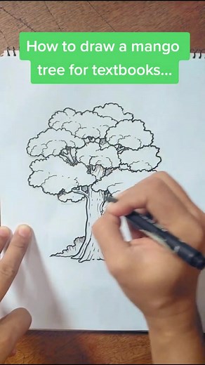 Easy Mango Tree Drawing Tutorial