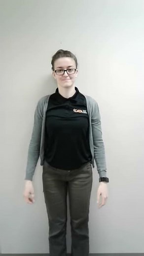 Wall Snow Angel Exercise