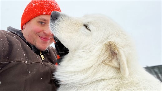 A full year on a small farm: Lessons learned