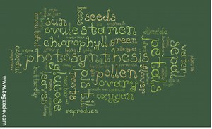 Lesson 2: Sporic Reproduction