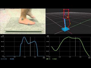 歩行解析【フォースプレートとの同期計測】