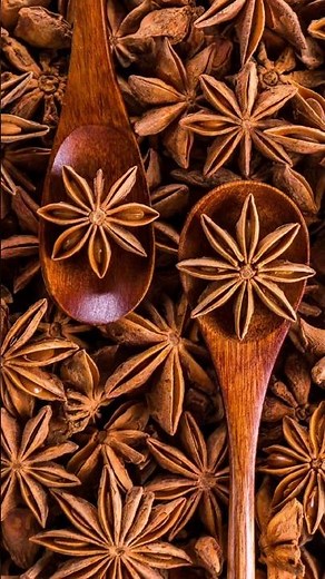 5 Health Benefits of Anise Seeds