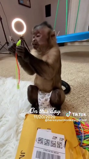 George the Monkey's Incredible Gift Unboxing