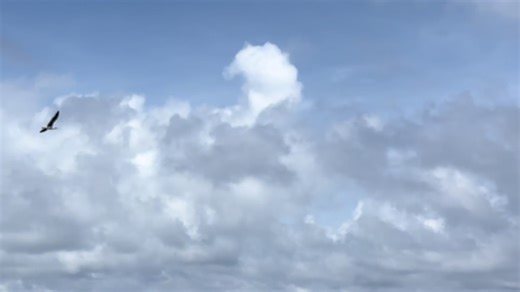 #Cánh chim Hải âu bốn mùa về cùng anh vui ra khơi! Trên quần đảo Trường Sa Việt Nam! Chào mừng đoàn ra công tác trên các đảo thuộc QĐ Trường sa! Cả nước hướng về Trường sa!#