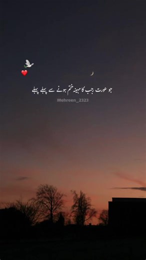 Exploring Islamic Teachings and Community Values