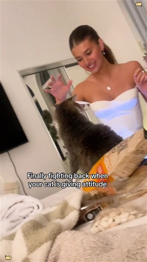 Dealing with Attitude: Funny Cat Reactions