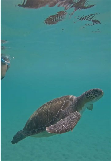 Dicas de Viagem para Arraial do Cabo com GoPro