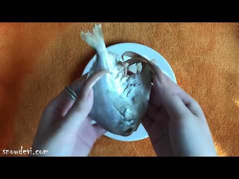 snowdevi long nails fish