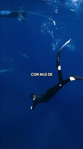 Los 10 lugares mas top para visitar en Cancún | no te pierdas estas playas y paisajes de Cancún