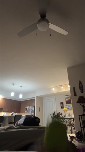 Idk atp bro, shrek busts down a move 🤯#shrek#fyp#trend