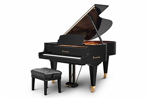 Bösendorfer 6'7" Model 200 - PianoWorks
