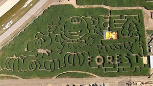 Corn Maze Celebrates 50th Anniversary of 'It's the Great Pumpkin, Charlie Brown'
