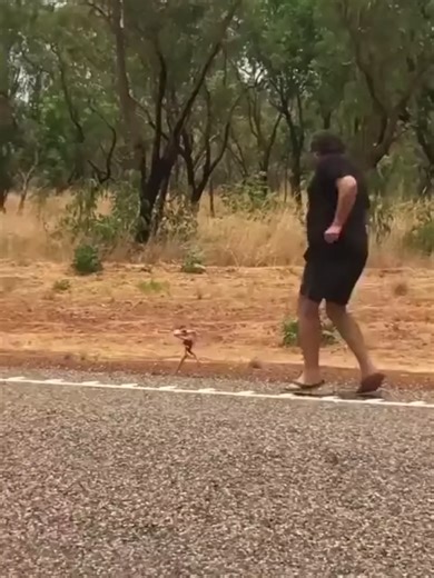 The Truth About the Tiny Godzilla Lizard Revealed