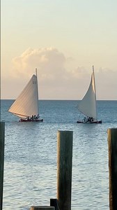We watched these Bahamian racing sloops all evening. #bahamas #sailing