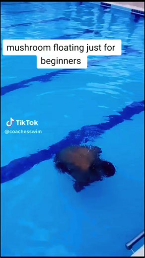 savage sam (@savage.sam0)’s videos with Ordinary Feb 14 - alexwarrenupdates (fan page)