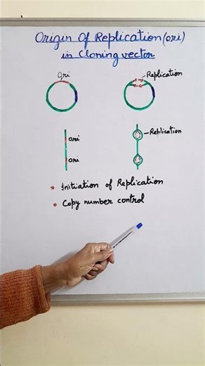 Origin of Replication in Cloning Vector || ori in vector #neet Biology