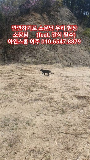 아인스홈 튼튼하게 짓나 감리 중인 냥소장님 🐱🧱 #세컨하우스 #여행 #전원주택