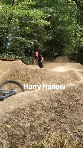 Harlow^ADV on TikTok
