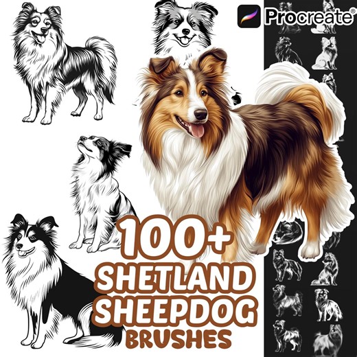 Procreate Shetland Sheepdog Animals Brushes, 100  Shetland Sheepdog Dog Animal Procreate Stamps, Nature Procreate, Pet Animals, Dogs Species - Etsy