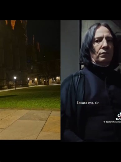 El enigmático Profesor Snape en Harry Potter