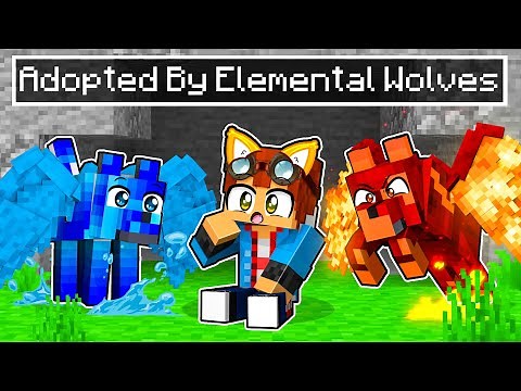 Adopted by Elemental Wolves In Minecraft!
