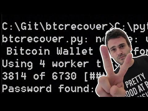 Brute-force your Bitcoin wallet - part 2 - btcrecover on Multibit classic - Password found