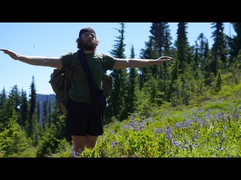 Sperging about the LBV-88, FLC, and LBV Part. 2-ish