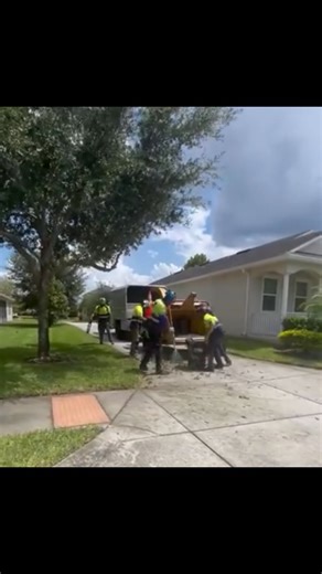 Teamwork makes the dream work. We’d love to take care of your trees too! Feel free to send us a message with any questions. #treecare #treeservice #outdoors #orlandotreeservice #treeservicenearme #trees #nature #clermont #minneola #lakenona #wintergarden | DWC Outdoors - Tree Care Services