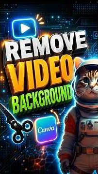 How to Remove Video Background in Canva